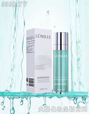 ����ǧ�����Q(m��o)���޹�˾����Ԋ��(LEMSLEE)�᝙������