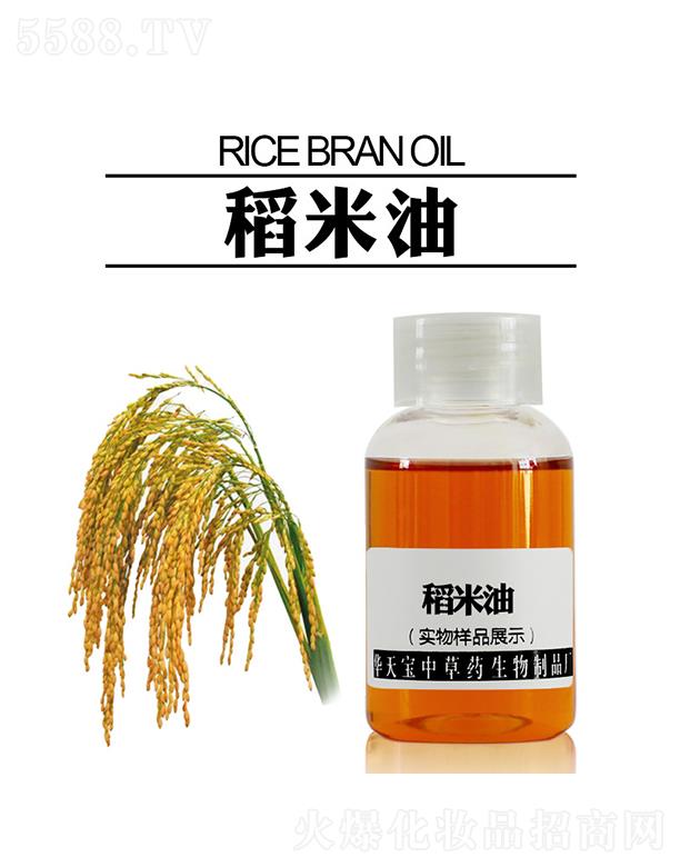 �������A�쌚�в�ˎ������Ʒ�S���A�쌚������