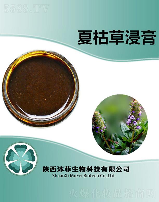 ����������Ƽ����޹�˾������Ŀݲݽ���