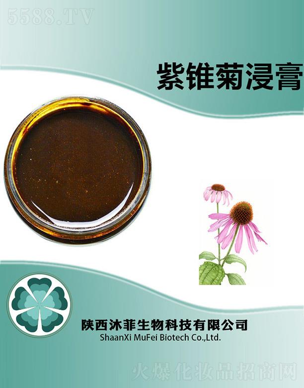 ����������Ƽ����޹�˾��������F�ս���