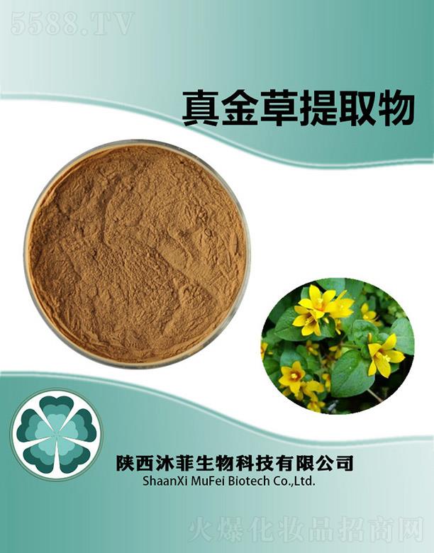 ����������Ƽ����޹�˾�����������ȡ��