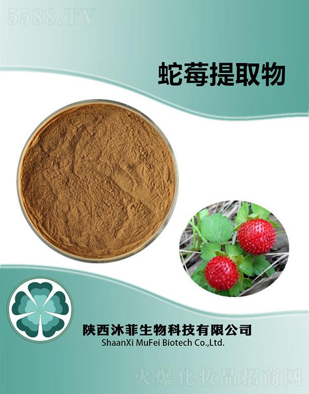 ����������Ƽ����޹�˾�������ݮ��ȡ��