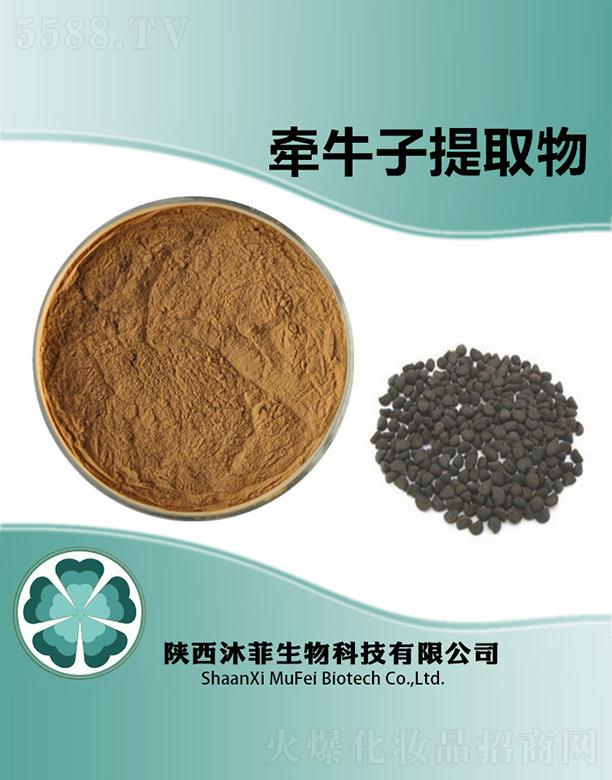 ����������Ƽ����޹�˾����Ơ�ţ����ȡ��