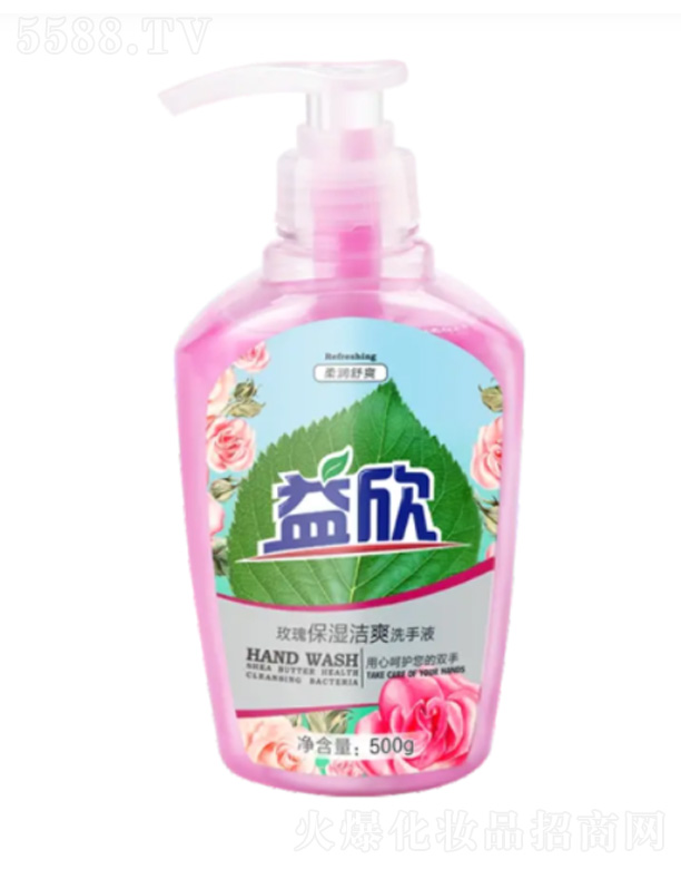 �㽭��Ӣ�Ƽ��ɷ����޹�˾��õ�屣��ˬϴ��Һ 500g