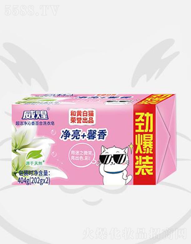 �Ϻ����S��؈���޹�˾�����ͳ���������ٺ�ϴ���� 404gϴ�����������