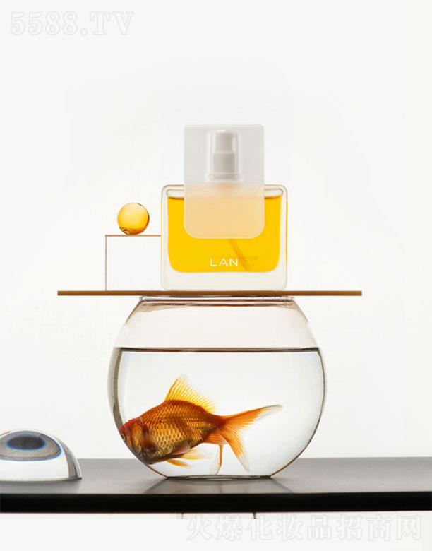 �����m�����yƷ���޹�˾�������m��   �m�P�ˬ���������   �����B(y��ng)�w   ����