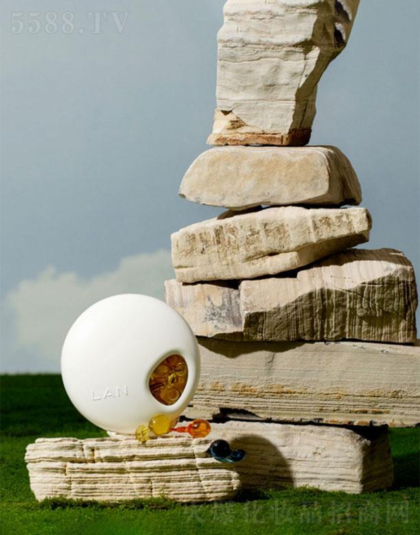 �����m�����yƷ���޹�˾�������m��  �m�z�ҕr����    ��������   40��