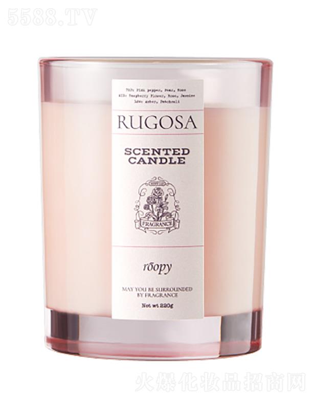 ���ݺ�������Ƽ����޹�˾����(r��n)���o(w��)��õ�� �� õ�����{(di��o)��޹Ϟ�T