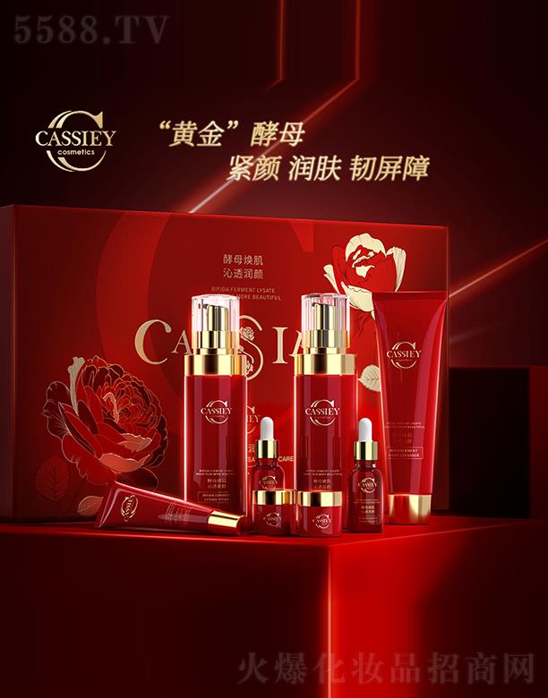 �V�|���z�ə�Ͷ�Y���F���޹�˾��CASSIEY���ѽ�ĸ�����