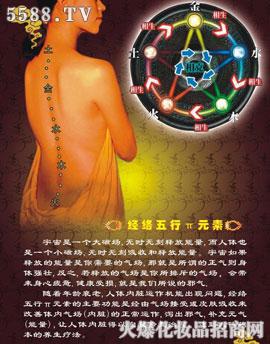 �V�ݼ���������Ƽ����޹�˾�����������Ц�Ԫ���׺н�B