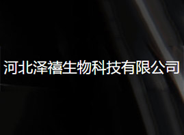 �ӱ���������Ƽ����޹�˾