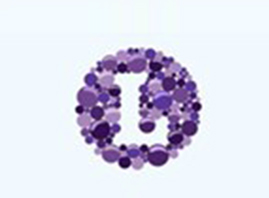 �����������Ƽ����޹�˾