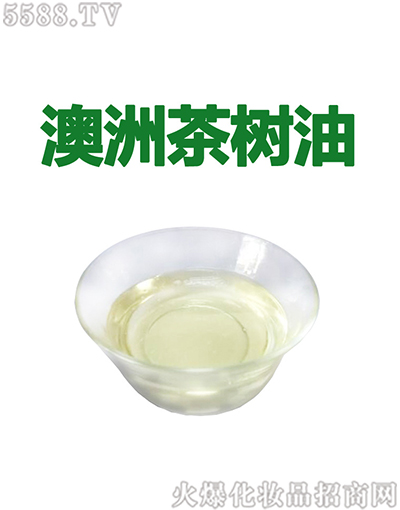 ����ݰ��޲�侫��