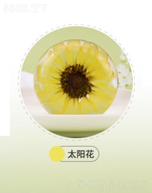 �mԊ(sh��)���mԊ(sh��)�𰱻����ֹ���-̫�(y��ng)��