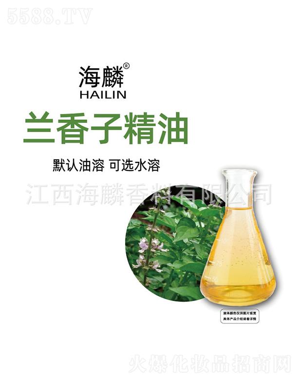 �����m���Ӿ���