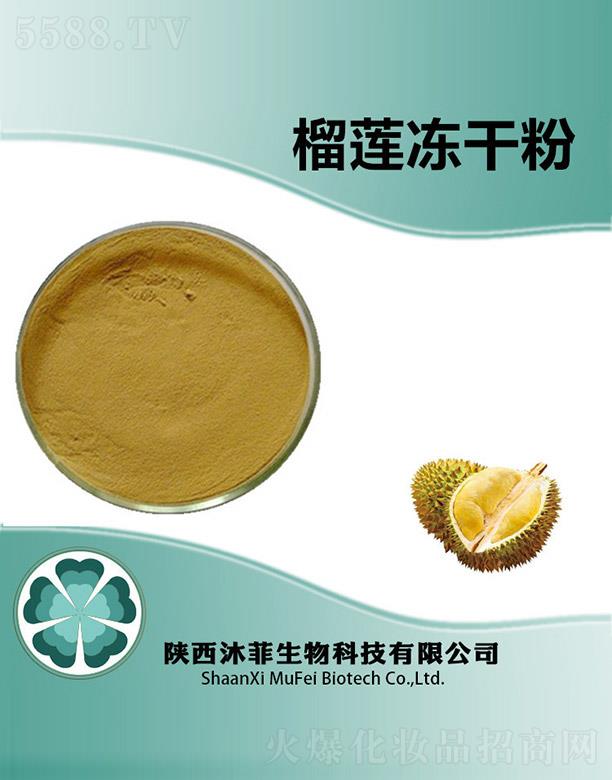 �����ɏ���ɷ�