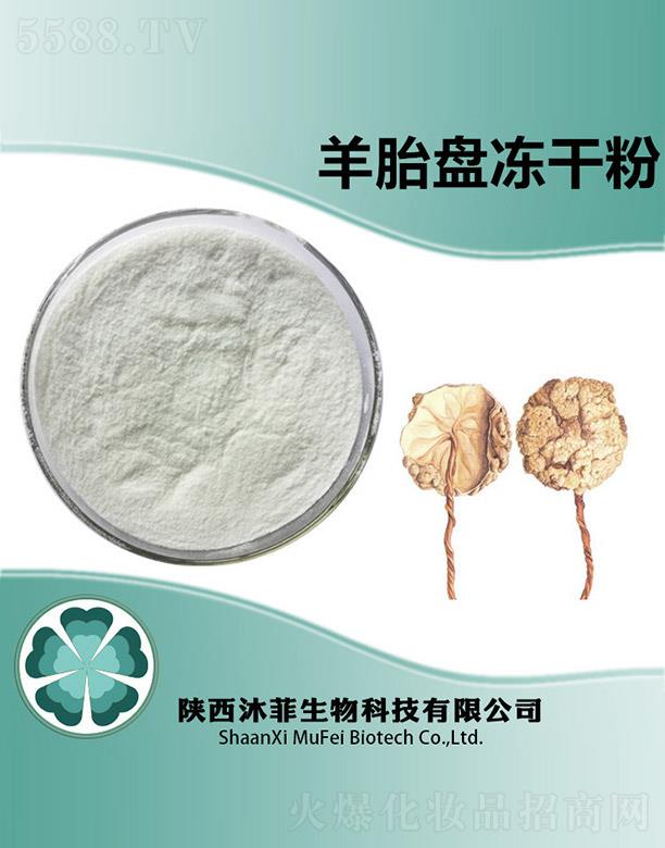 �����̥�P���ɷ�