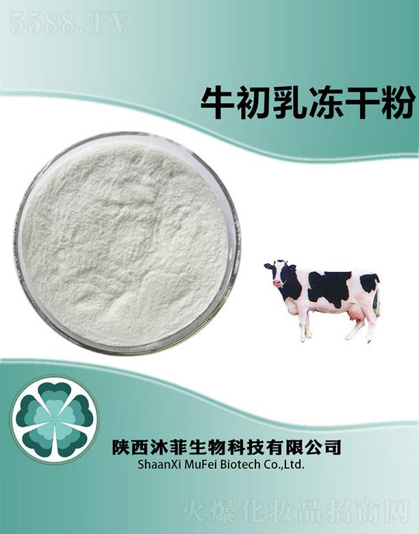 ���ţ������ɷ�