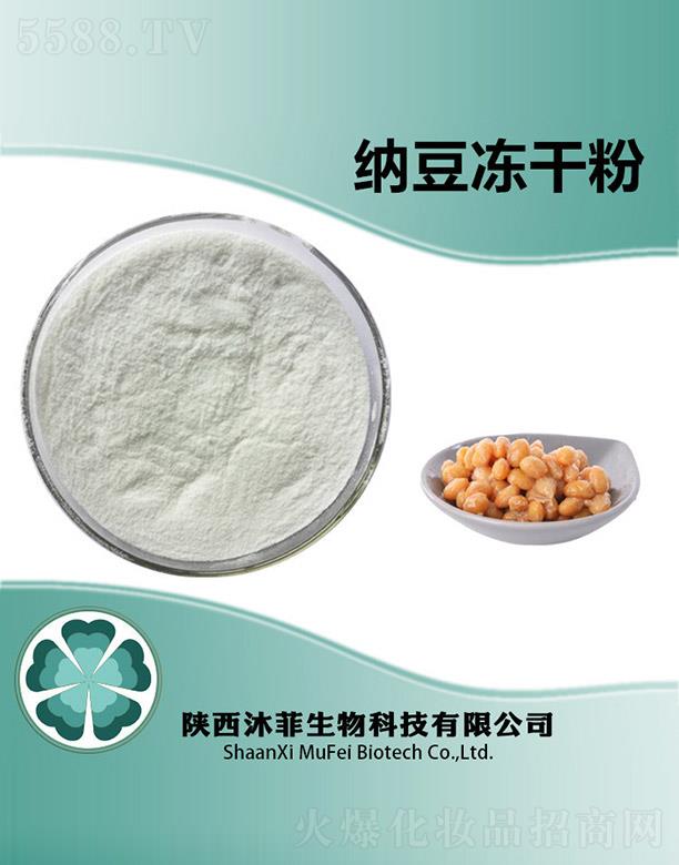 ��Ƽ{�����ɷ�