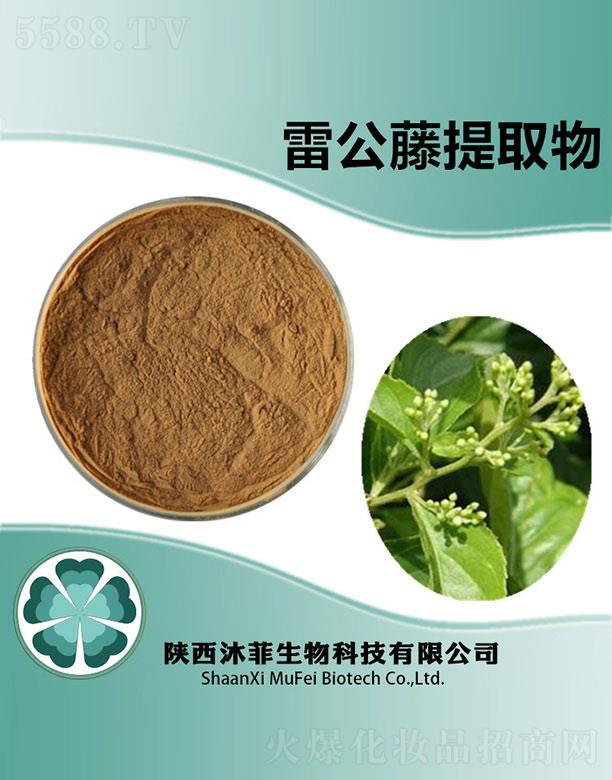 ����׹�����ȡ��