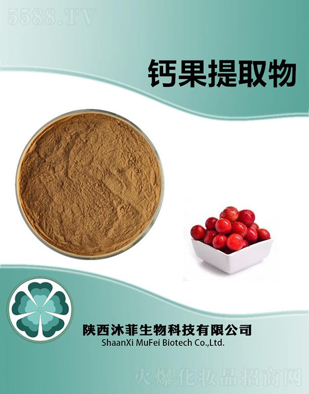 ����}����ȡ��