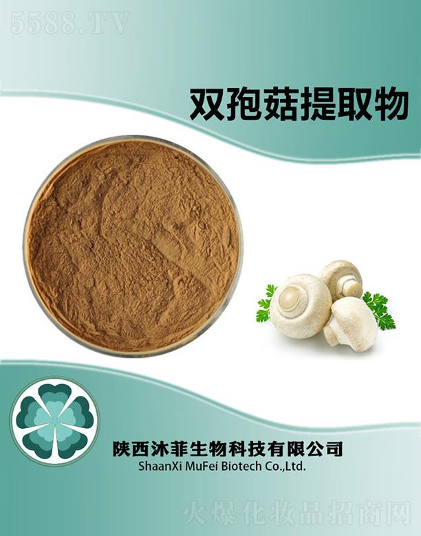 ����p�߹���ȡ��