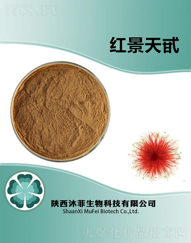 ��Ƽt����߰