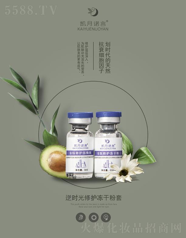 �P���Z����r�����o���ɷ��� ���o�ӌ�����