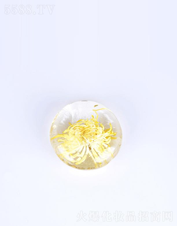 �V����֦��z�հ������� �澏���w�Ք�ë��