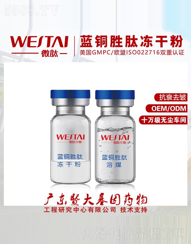 ΢���{(l��n)�~���ă��ɷ� ��˥ȥ��