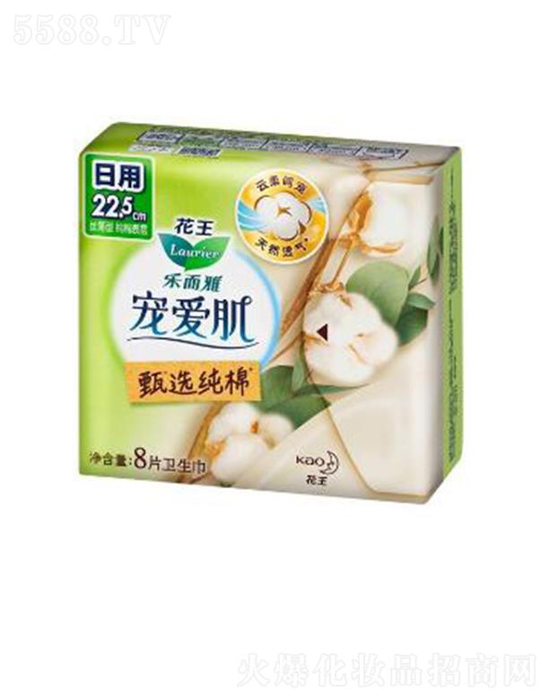 ��(l��)���Ō���(��i)�����x���޽z����22.5cm��8p��ס������ܛ