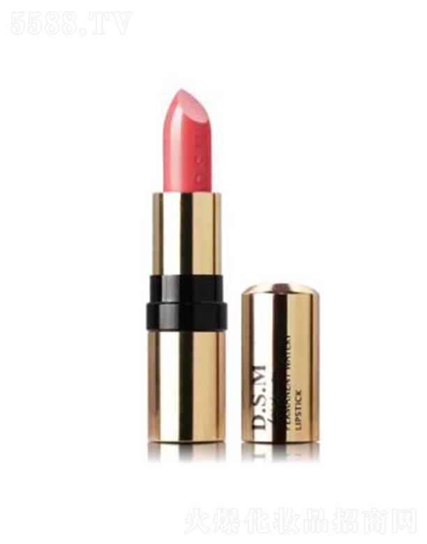 D.S.M��z������ˮ�д���09 �֏͏�������