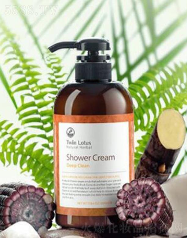 TwinLotus�pɏֲ��o������ԡ¶