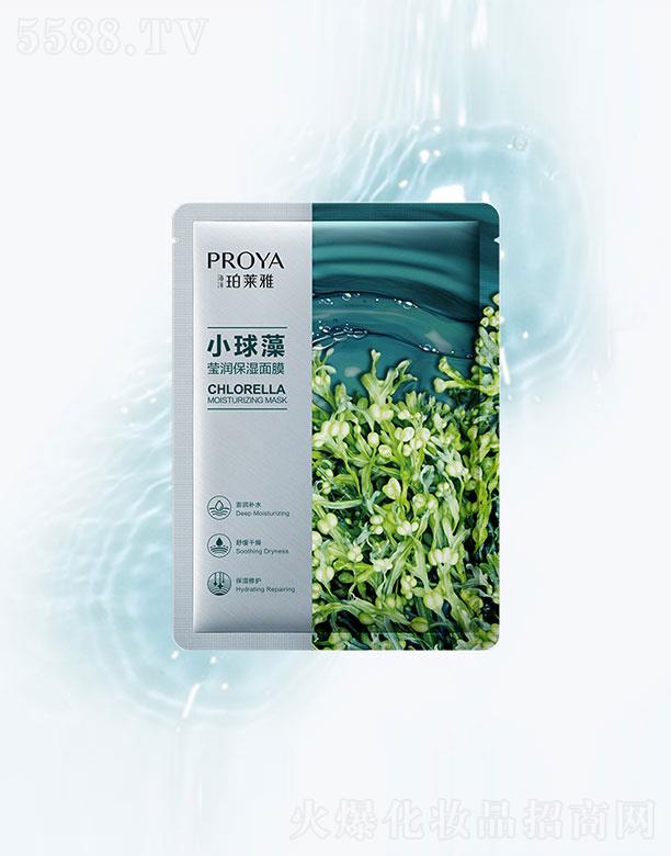 ���R��С���嬓��������Ĥ