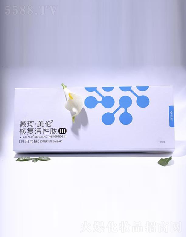 ޱ�������ޏͻ�����III