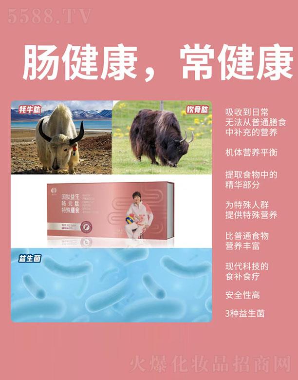 �V�|�������t(y��)����ʳƷ���޹�˾������������Ԫ��(������ʳ)