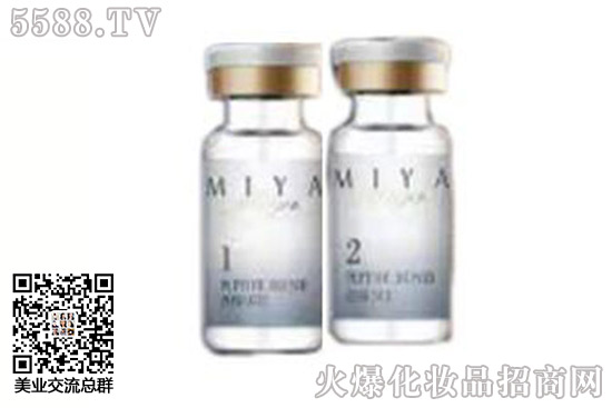 �i��1+1���o����M��